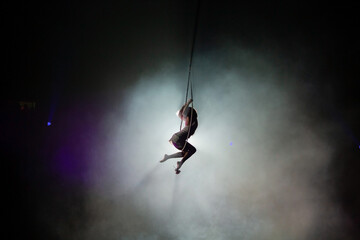 performances of artists under the dome of the circus