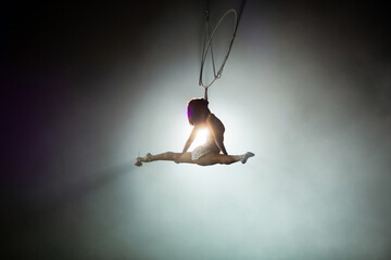 performances of artists under the dome of the circus