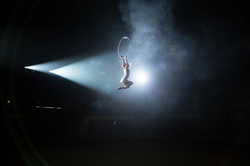 performances of artists under the dome of the circus