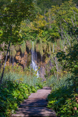 Wooden path with handrails along the Plitvice lakes and mountain forest in National Park. Croatia, Europe