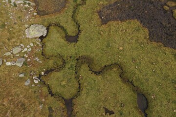 estuaries of a lagoon