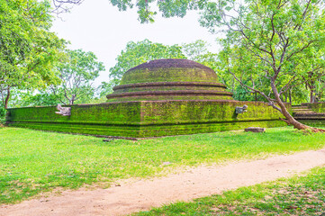 The brick stupa in Alahana Pirivena, Polonnaruwa, Sri Lanka