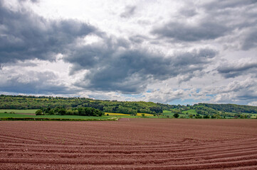 Fototapeta na wymiar Landscape with a field