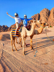 tourists in egypt riding camels. a girl and a man in the desert on an excursion