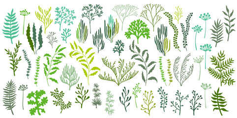 Seaweeds and coral reef underwater plans vector collection. Aquarium, ocean and marine algae - obrazy, fototapety, plakaty
