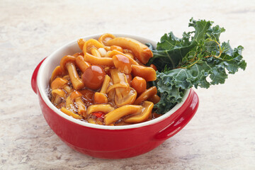 Wild pickled honey mushroom in the bowl