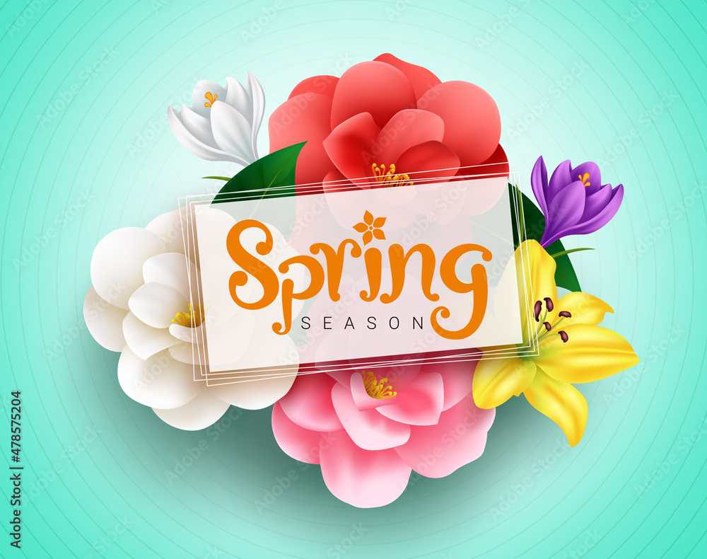 Poster spring season vector template design. spring text in empty space with camellia and lily flowers back