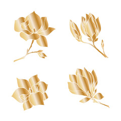 A set of branches of magnolia flowers with a golden gradient fill on a white background. Place for your text.