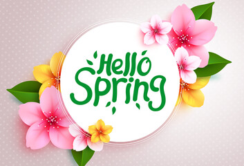 Spring greeting vector template design. Hello spring text in white circle space with cherry blossom flowers and leaves elements for seasonal greeting flower decoration. Vector illustration. 