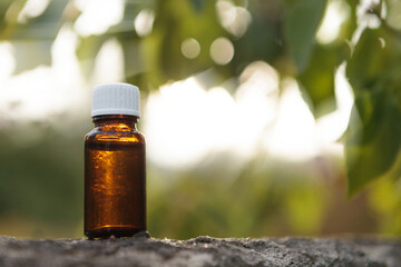 Small medical bottle against background of green leaves and rays of light. Natural medicine, concept.