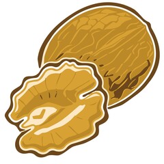 illustration of brain nats