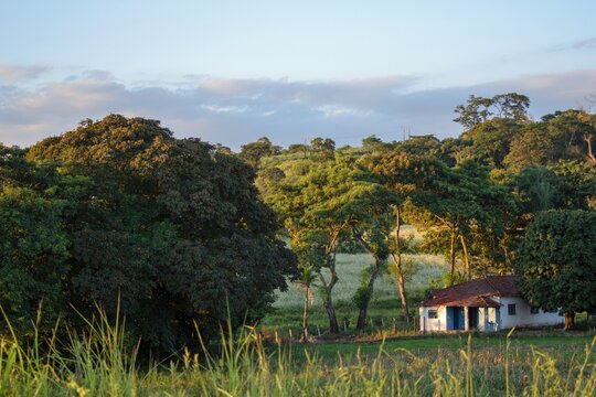 Casa simples da ro&ccedil;a em um cen&aacute;rio rural do interior paulista