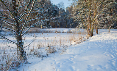 Winter landscape with heavy snowfall -  white frosty lake, icy water. Beautiful background with frozen trees.