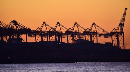 Fototapeta na wymiar Krane am Containerhafen Hamburg 