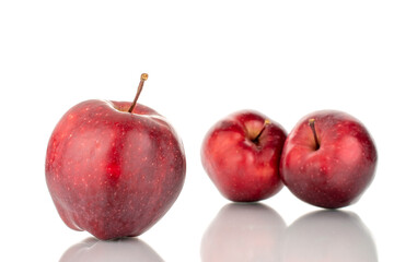 Three organic sweet red apples, close-up, isolated on white.