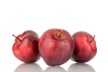Three organic sweet red apples, close-up, isolated on white.