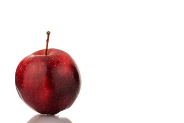 One organic sweet red apple, close-up, isolated on white.