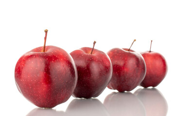 Several organic sweet, red apples , close-up, isolated on white.