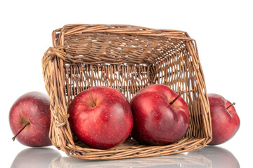 Several organic sweet red apples with a basket of vine, close-up, isolated on white.