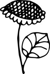 Sunflower. Vector illustration.