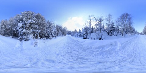 Forest in Winter Covered in snow HDRI Panorama