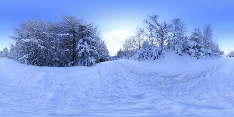 Forest in Winter Covered in snow HDRI Panorama