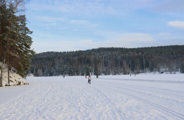 Naklejka premium Winter