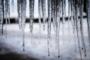 Hanging icicles - frost, winter concept