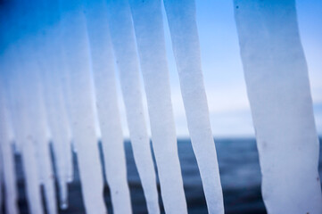 Hanging icicles - frost, winter concept