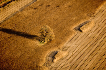 Farmland near Valleyfield Quebec Canada