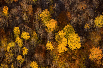 Countryside in Autumn  Valleyfield Quebec Canada