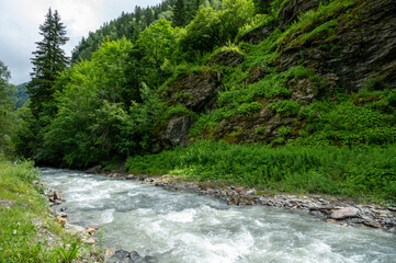 View on Bon Nant mountain river, green forests and apline meadows near Saint-Gervais-les-Bains, Savoy. France