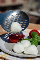 Fototapeta na wymiar Cheese collection, white balls of Italian soft cheese mozzarella served with fresh tomatoes and basil