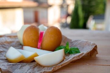 Cheese collection, variety of Italian cow milk cheese scamorza with Italian houses on background