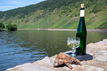 Tasting of white quality riesling wine with view on steep slopes of vineyards overlooking Mosel river in sunny day