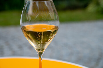 Tasting of brut champagne sparkling wine during visit caves in champagne house in Reims, France