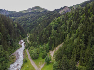 View on Bon Nant mountain river, green forests and apline meadows near Saint-Gervais-les-Bains,...