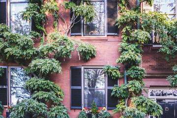 Fototapeta na wymiar Big planters with various plants set against brick wall with windows and shutters