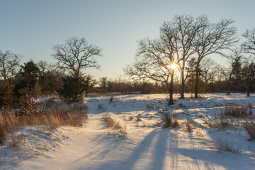 Winter scene with sunburst