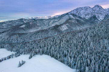 Mount Giewont at Winter in Tatra Park, Zakopane, Poland - obrazy, fototapety, plakaty