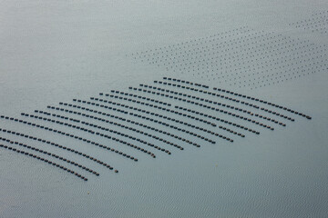 Aquaculture on Prince Edward Island Canada