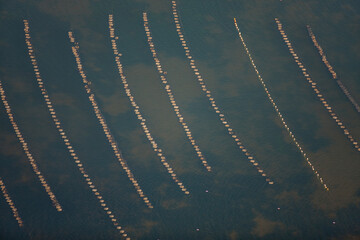 Aquaculture on Prince Edward Island Canada