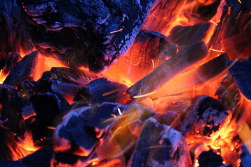 Fototapeta premium beautiful background, burning coals in different colors