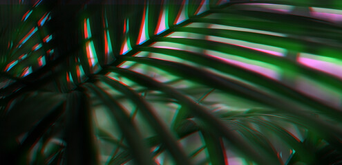 Glitch and anaglyph effect. Palm leaf in tropical forest plants. Nature shadow light long horizonta...