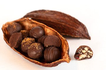 Cocoa cacao organic pod with chocolate candy on white background. Natural confectionery ingredients. Vertical orientation.