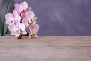 Fototapeten Hintergrund mit Orchidee zum Beschreiben © Gisela