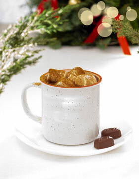 Hot chocolate with marshmallows and cinnamon