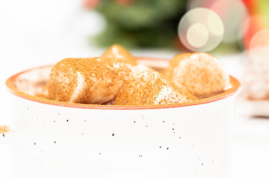 Hot chocolate with marshmallows and cinnamon. Close-up