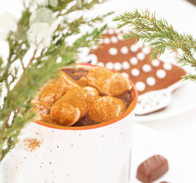 Hot chocolate with marshmallows and cinnamon. Close-up