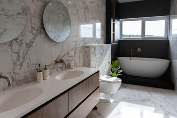 Modern bright bathroom with green plant and window